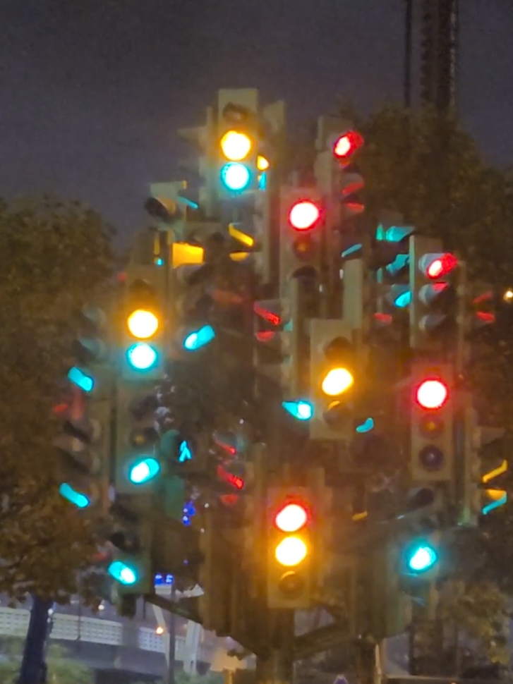 Traffic Light Tree London