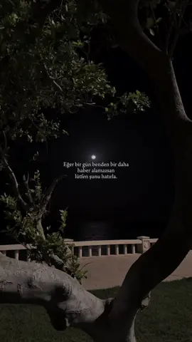 Sadece hatırla.  #fyp #keşfet #fypシ゚ #fypviralシ  