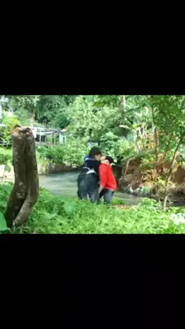 oke masih tengiang ngiang sama scane romens nara👀#radenrakhadpp #Basmalahgralind #fypシ゚ #bismillahfyp #lewatberanda 