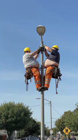 How many electricians does it take to fix a light.. #imjustbait #trending 