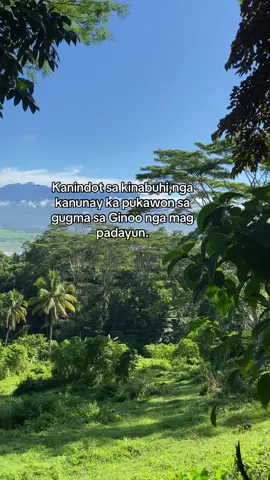Padayunnn!!! #nature🍃🍃 #fypシ゚ #peacefullife 