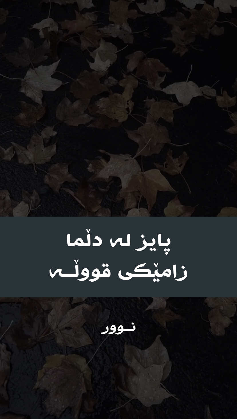 پایــز وەرزی هەموو جوانییــەکان🤎🍂..#nu_0rr #shene 