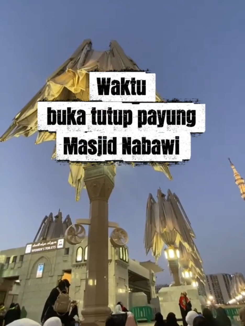 Momen yang sangat ditunggu- tunggu bagi sebagian jamaah umroh #payungnabawi #madina #nabawi #umrah #umrohsolo 