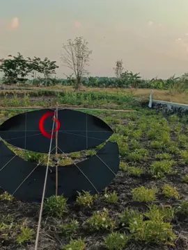 #pegonludoyo #cinematicvideo #fyp #pegoncepertulungagung #liwatberanda