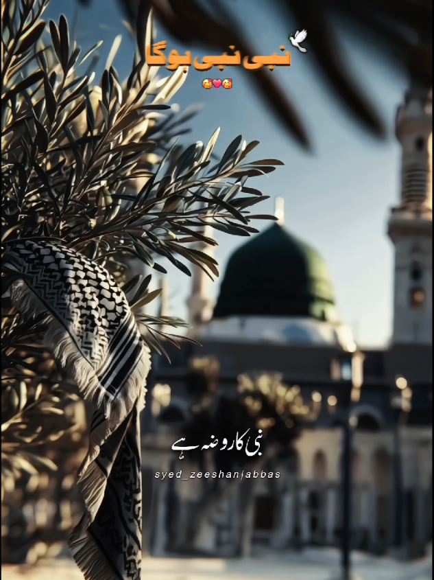 Nabi Nabi (ص)hoga..🥰🥰 #nadeemsarwar #Syed_Zeeshan_1472 #shiastatus🚩🏴 #azadari #imam_ali_as 