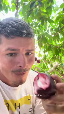 A melhor fruta 😋#video #viral 