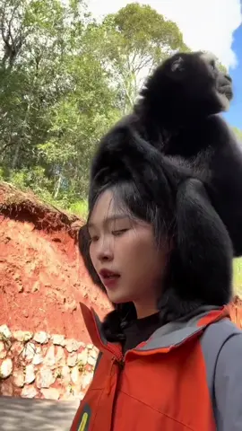 Động vật đáng yêu #xuhuong #petcute #animals #monkey #tiktokgiaitri 