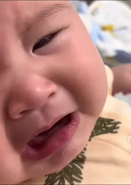 #babybear #beyeu 