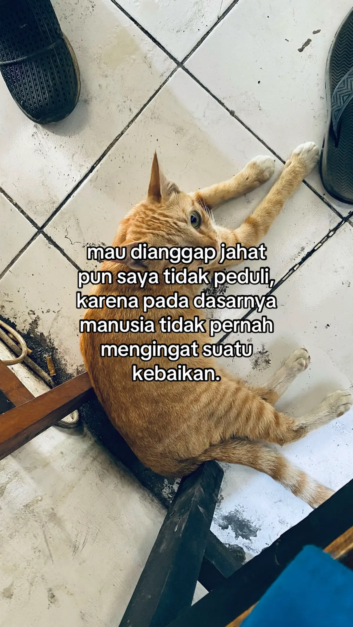 #xyzbca #fyp 