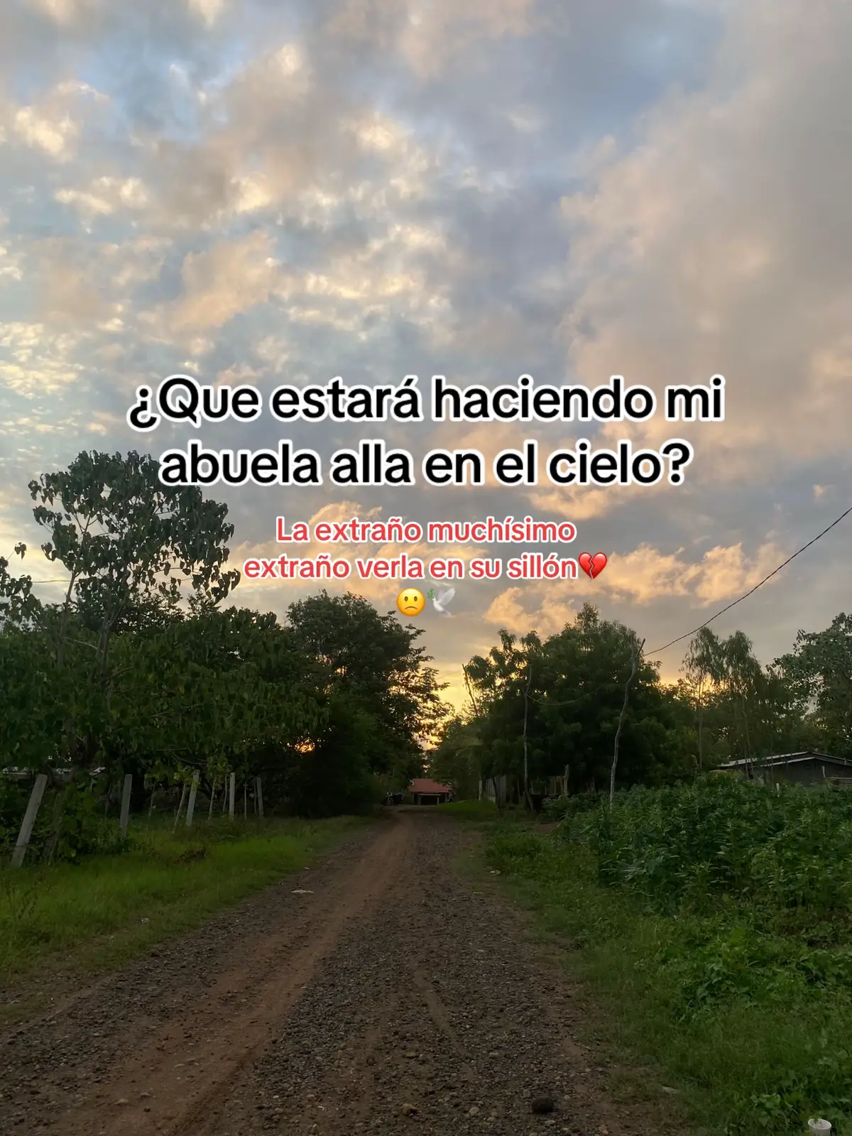 #12082025💔🕊️👵🏼 #abuelafallecida🕊️💔 #12082025💔🕊️👵🏼 #abuelafallecida🕊️💔 #paratiiiiiiiiiiiiiiiiiiiiiiiiiiiiii 