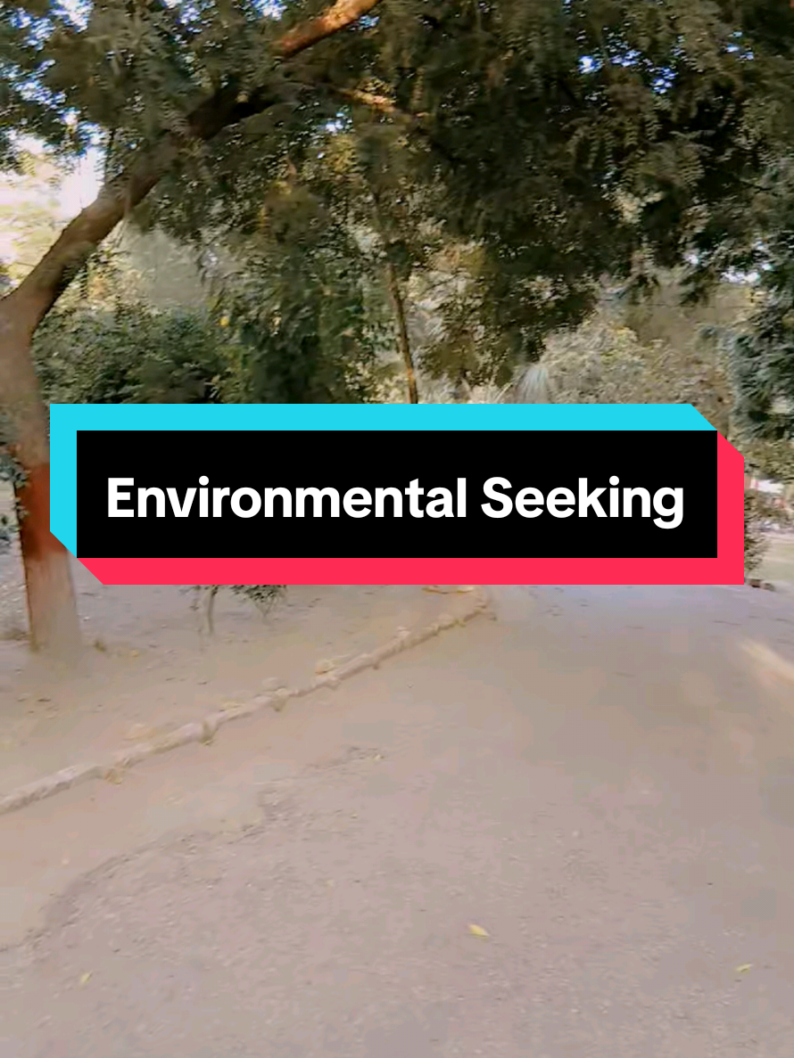 Environmental Seeking #environmental  #autism  #viralvideo #fyp   #seeking 