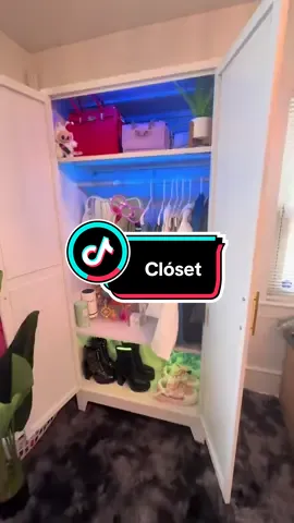 #storagewardrobe #metalwardrobe #closet #wardrobe #closetorganizer 