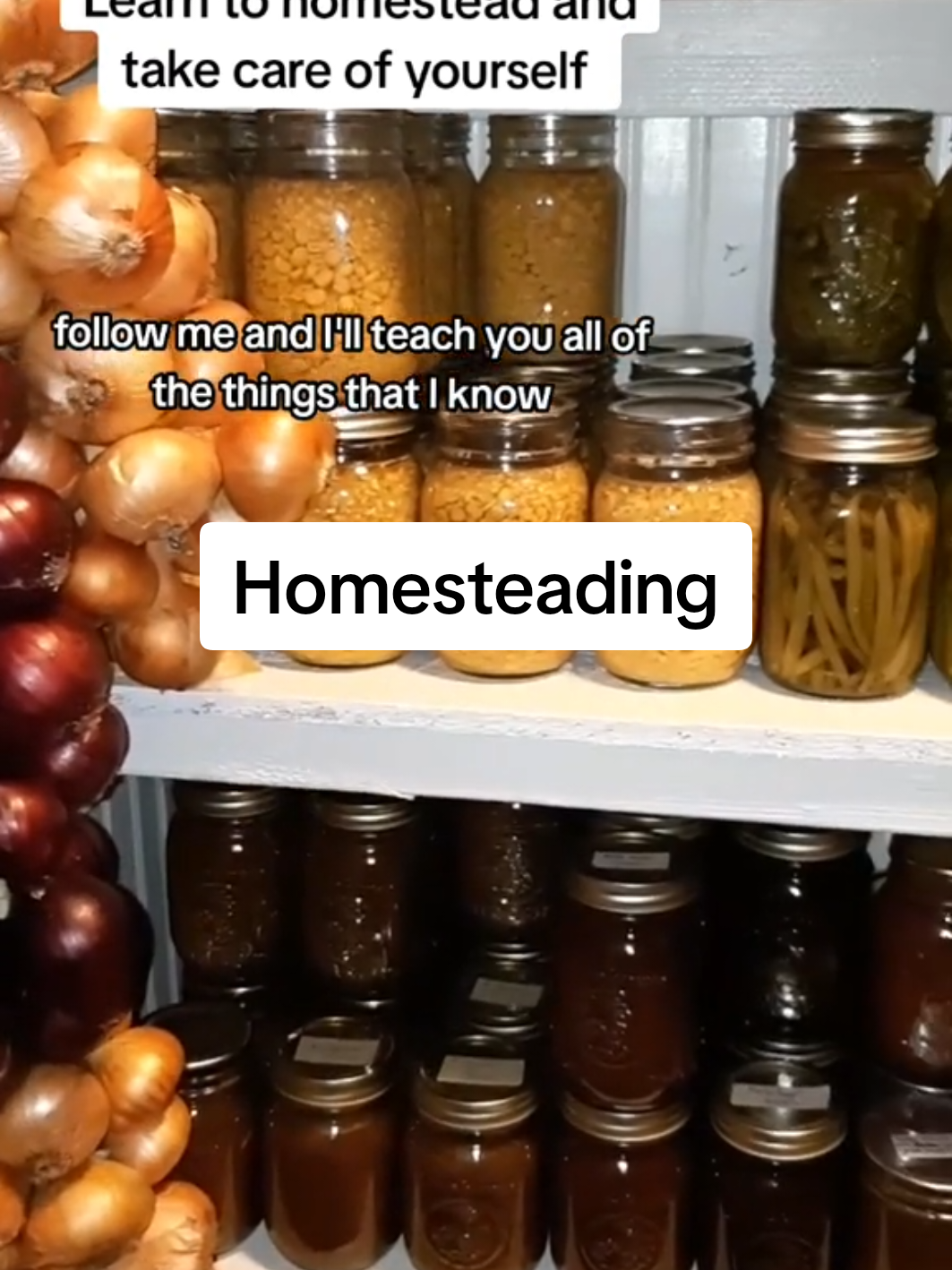 Hey were homesteading in Canada Join is on our journey and learn some skills on the way #homesteading #homestead #homesteadlife #homesteadtiktok  #creatorsearchinsights 
