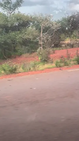 Vraiment aujourd’hui es chauffé  force à nous fama partager à la route de kita #Nécrologie 😭