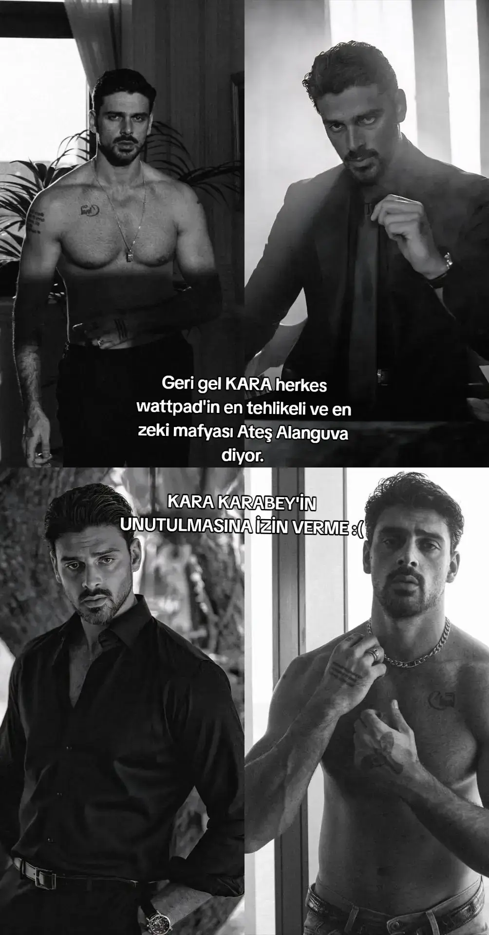 #kara #karabey #bora #wattpad #borakarabey #watty #mafia #mafya #maçakızı8 #dilara #dilarapamuk 