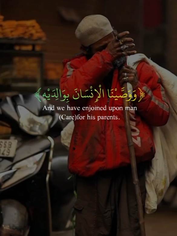 Surah Luqman | Abdullah Ahmed Shaban  #allah #zeealquran #quran_alkarim  #surahluqman #سورة_لقمان 