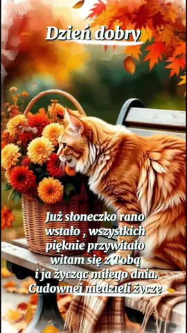 #dzień dobry 🪷🌼🌺🪻🌷cudownej niedzieli życzę 🪷🌺🍀😍💞💐#pozdrawiam serdecznie 🌺🪻💗🥰🌸🌿💓🌹🌼