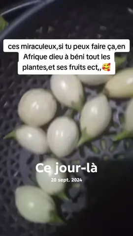 #cejour-là