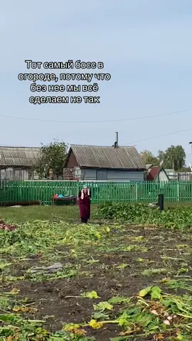 #рекомендации #пжрек #можноврекомендаци #хочуврек нэнэйке 83 года 