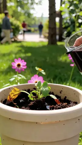 Activate Your Soil Today! 🛒 
 Click to Unlock Soil Secrets! 🔓
 
 
 #homegarden
 #gardenmusthaves
 #raisedbeds
 #plantfertilizer
 #raisedgardenbeds
 
 
 
 
