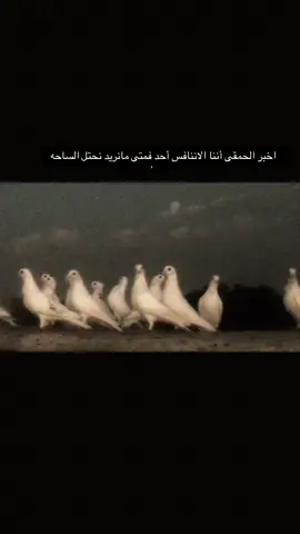 #واحد_عراق #ارافل_العراق 