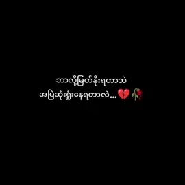 လူလဲသေမတက်ပါဘဲ..🥀 #ငါ့ပေါ်ရက်စက်လိုက်တာအချစ်ရယ်💔 #fffffffffffyyyyyyyyyyypppppppppppp