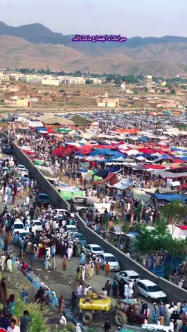 میرانشاہ اجتماع تبلیغ مرکز حالید بن والید #viral #foryoupage #foryou #viral 