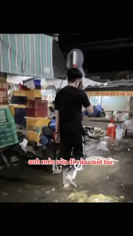 #CapCut gốc quay này đỉnh thật #lehoanghiep #quandoinhandanvietnam 