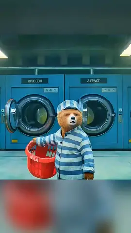 The Brave Little Bear Who Cooked His Way to Freedom 🐻🔥 #usa🇺🇸 #filmclips #FilmCommentary  #BearStory 