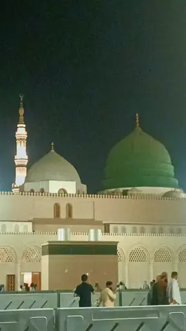 Roza e Rasool Beautiful scene صلى الله عليه وسلم  Zakir Naik Pk official channel  #creatorsearchinsights #emotionalvideo #foryou #faith #madina 