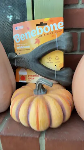 Grab your pup the limited edition pumpkin spice wishbone from Benebone 🎃 