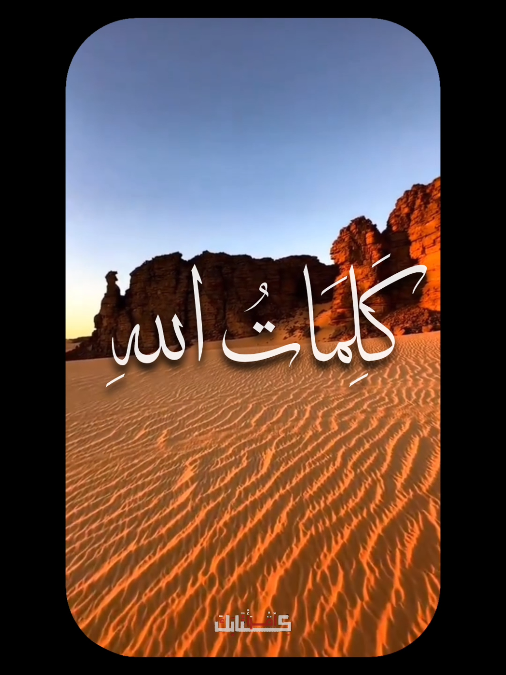 🦩| وَلَوْ أَنَّمَا فِي الْأَرْضِ مِنْ شَجَرَةٍ أَقْلَامٌ 🤎 .  .  .  #قران #quran #محمد_صديق_المنشاوي #المنشاوي 