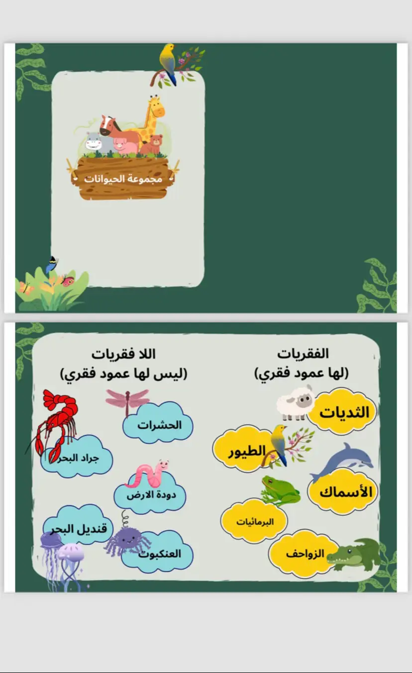 مطوية علوم الصف ثاني جاهزه للطباعة🌸❣️#foryoupage #viralvideo #fypage #tiktoktrend #fyp 