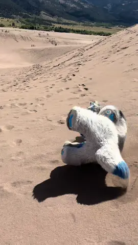 The sand dune sand zoom #furry #furries #fursuit #quadsuit 