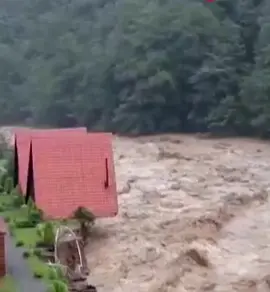 Rize’de Sağanak Nedeniyle Köprü Yıkıldı Rize’de etkili olan sağanak yağış hayatı olumsuz etkiledi. Şiddetli yağışın ardından debisi yükselen dereler taşarken, Ardeşen-Çamlıhemşin kara yolu üzerindeki Şenyamaç köyü mevkiindeki köprü çöktü. Köprünün çökmesi nedeniyle Ayder Yaylası’na ulaşım sağlanamıyor. Bölgeye ekipler sevk edilirken, ulaşımın kontrollü olarak alternatif güzergâhlardan sağlanmaya çalışıldığı bildirildi. Yetkililer vatandaşları dere kenarlarından uzak durmaları konusunda uyardı.