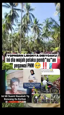 link nya udah ku taro di bio ya sungguh mengerikan #pnmpasangkayu #pnmmekaar #pasangkayu_sulbar #oranghilang #mlbb 