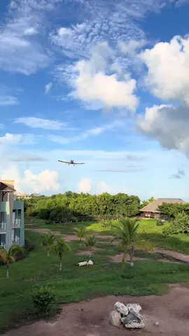 Plane that sprays for mosquitoes here in Cayo Coco Cuba Crash landed ❤️❤️❤️🇨🇺#planecrash #meliajardinesdelrey #cuba #cayococo #breakingnews 