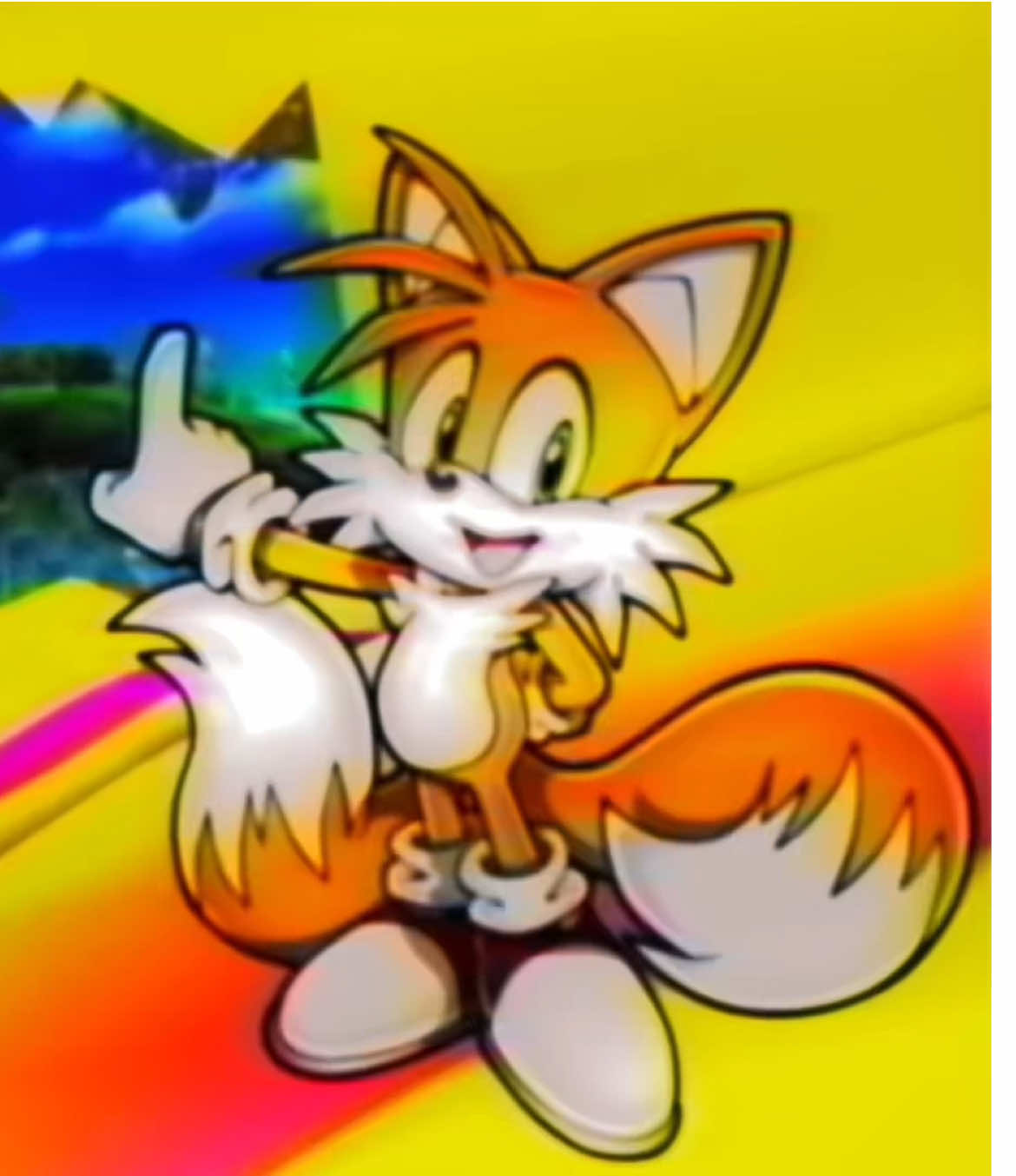 test video #sonic #tails #knuckles #edit #shadow 