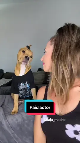I'm posting compilations of your favorite videos with Pupeye. What can I say, he's a paid actor. 😎 #cute #dogsvideo #pitbull #petlover #dog 