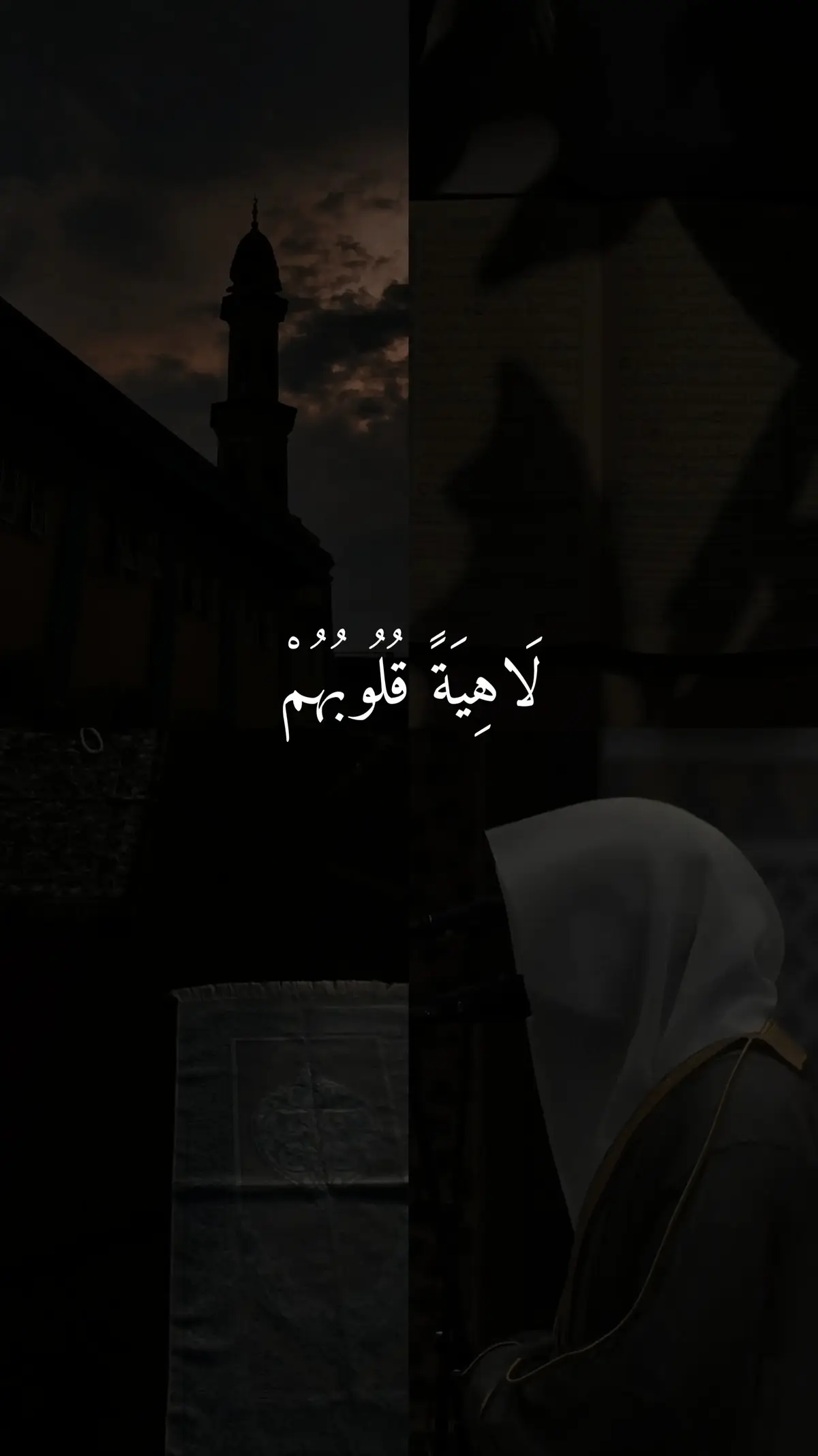 تلاوة خاشعة من القارئ احمد النفيس ❤️🤎#explore #تلاوة_خاشعة #أحمد_النفيس #fyp #قرأن_كريم_راحة_نفسية 