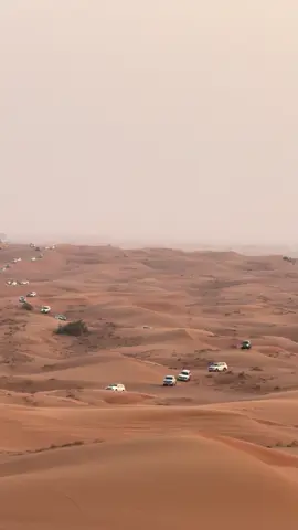 Booking Reservation 📲☎️ -Contact Us Now | Book Your Trip Now . 🏜️Desert safari  ☎️📲WhatsApp: +971501792333 *Everyday* ⏰Pick up Time: 3:00 - 3:30PM ⏰Drop Back Time: 10:00 - 10:30 PM Desert Safari Package Includes: *  Pick and Drop from your hotel/home. (Shared and private car both available) 🚗Red Sand Dune Bashing In At High Dunes. *  7+ Live Entertainment Shows  💃2 Belly Dance 🔥2 Fire Show                                                           🕺2 Tanoura Show, Yalla Dance, Mascot Show 🐫Short Camel Ride.  🏂Sand Boarding ✋ Henna Tattoo for Ladies/Kids  ☕️ Unlimited Water, Soft drinks, Tea & Coffee in camp 🏕️  📸Sunset Photography (with your own camera) 🍟I 15+ items Buffet Dinner, Vegetarian & Non-Vegetarian with BBQ *Free Arabic hookah in a designated area. Up to 3 years old kids are free /OUT Quad bike and buggy tour(extra cost) Licensed and Professional Drivers. Licensed Company In Dubai Tourism Depart. Sanitized Vehicles. 🚗  Separate Toilets for Men and women. • Neat and Clean Desert Camp.🏕️  NOTE: *No Cancellation Or any other Changes at same day. That will be fully charged* Desert Safari Dubai🏜️ T #dubai #mydubai #dubaidesert #desertsafari #desert         