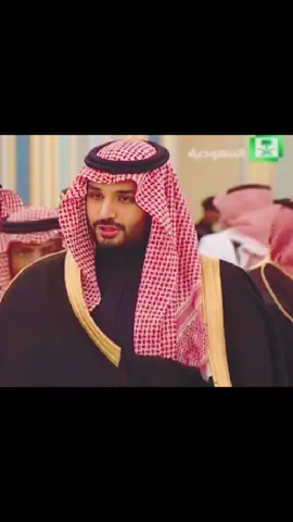 #محمد_بن_سلمان_حبيب_الشعب #السعوديه #اليوم_الوطني_السعودي_٩٥ #fyp 