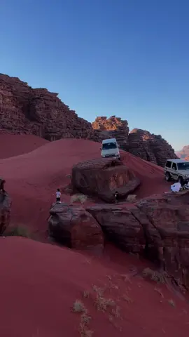#تبوك_الزيته_ 