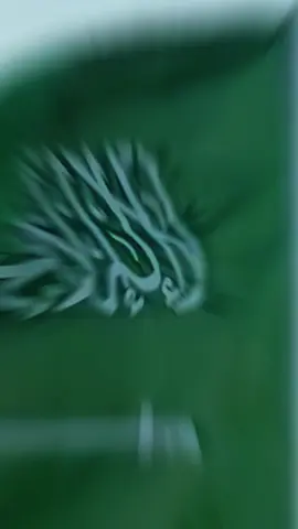 #اليوم_الوطني_السعودي_٩٥      #٢٣سبتمبر #السعودية #اكسبلورexplore 
