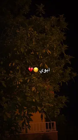 #الشعب_الصيني_ماله_حل😂😂 