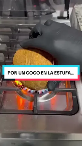 🥥 Pon un coco en la estufa y mira lo que pasa… 👉 De aquí sale aceite de coco 100% puro, hecho en casa: 1️⃣ Extrae el agua del coco. 2️⃣ Golpea, abre y corta la pulpa en trozos pequeños. 3️⃣ Licúa con 1 litro de agua y cuela → leche de coco. 4️⃣ Mete al refri hasta que se congele. 5️⃣ Cocina la parte blanca a fuego medio 40 min, removiendo. 6️⃣ Cuela y listo → aceite puro, natural y sin químicos. ✨ Ideal para cocinar, hidratar piel, cabello y mucho más. ¿Desde dónde nos ves? 🌍 Déjalo en los comentarios y no olvides seguirnos para más remedios naturales. #coco #remedioscaseros #salud #fyp 