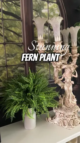 Boston fern plant #BostonFern #FernPlant #HomeInteriorDesign #OldMoneyLifestyle #OldMoneyAesthetic