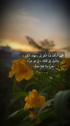 #آمين_يارب_العالمــــــين #اللهم_رضاك_والجنة #دعاء #اقتباسات #الانتشارالسريع 