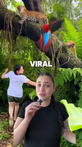 @PixelMaker | Link in Bio ⬇️ #aitool #viral #videoanimation