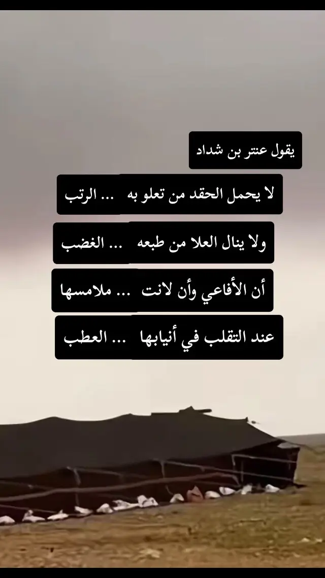 يقول عنتر بن شداد.. لا يحمل الحقد من تعلو به الرتب ولا ينال العلا من طبعه الغضب.. أن الافاعي وان لانت ملامسها عند التقلب في أنيابها العطب..!!